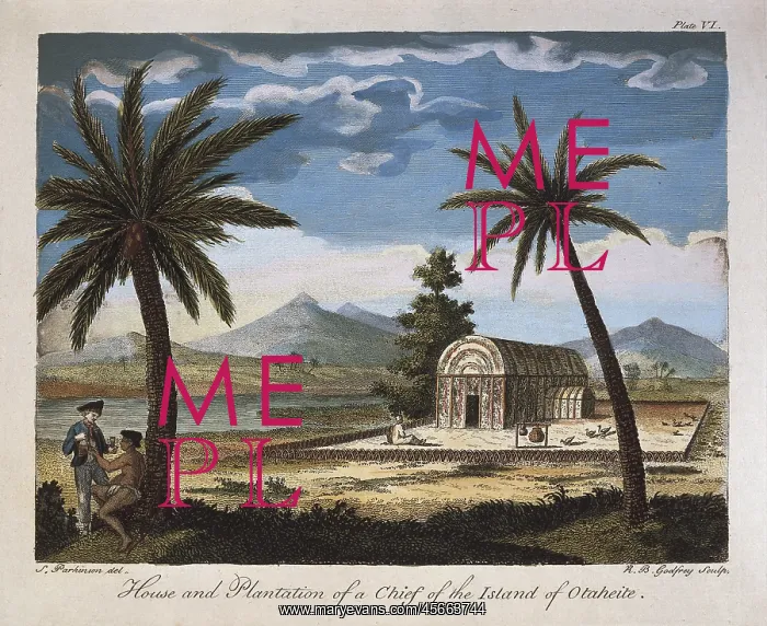 : House and plantation of a Chief of the island : House and plantation of a Chief of the island