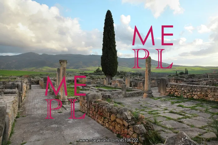 : House of the Procession of Venus, Volubilis : House of the Procession of Venus, Volubilis