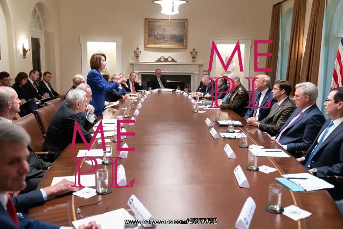 : House Speaker Nancy Pelosi stood up to leave : House Speaker Nancy Pelosi stood up to leave