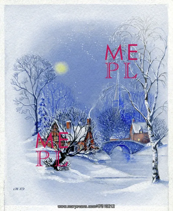 : House, trees and bridge in the snow : House, trees and bridge in the snow