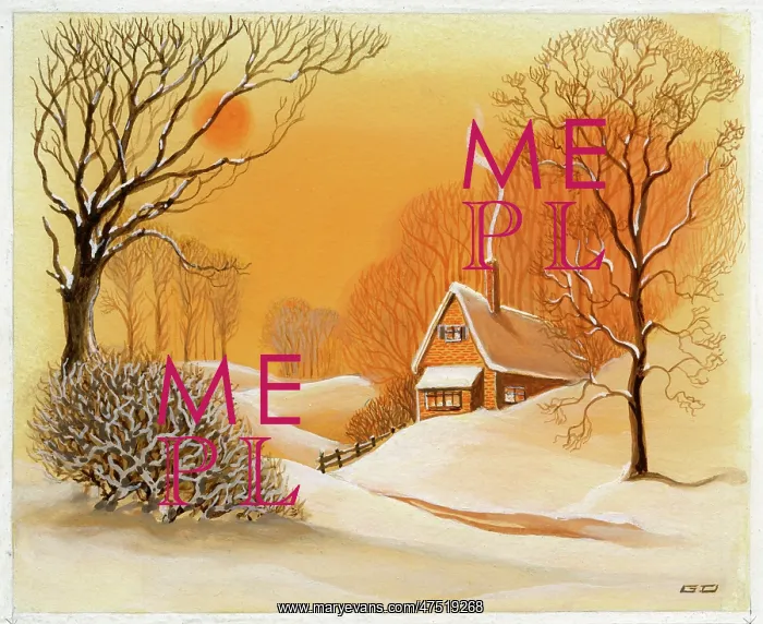 : House and trees in the snow : House and trees in the snow