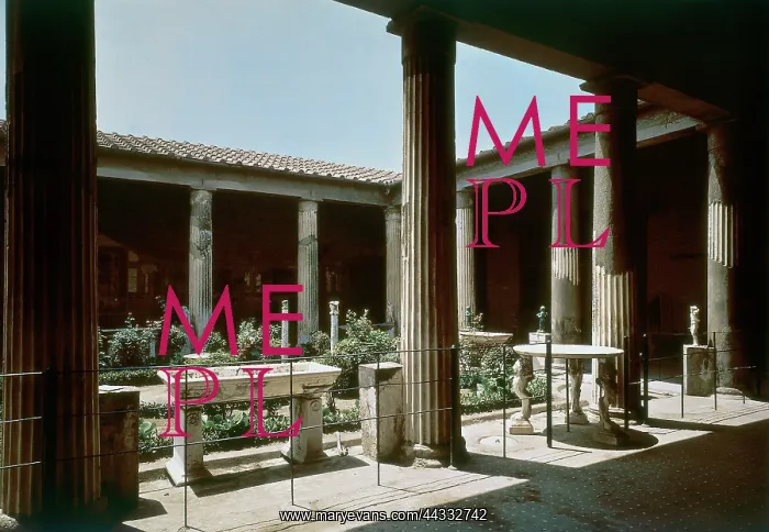 : The House of the Vettii : The House of the Vettii