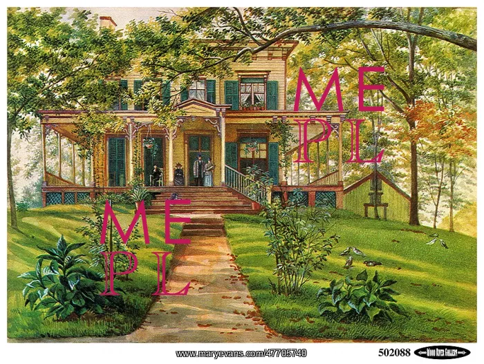  : Front of House, Yard