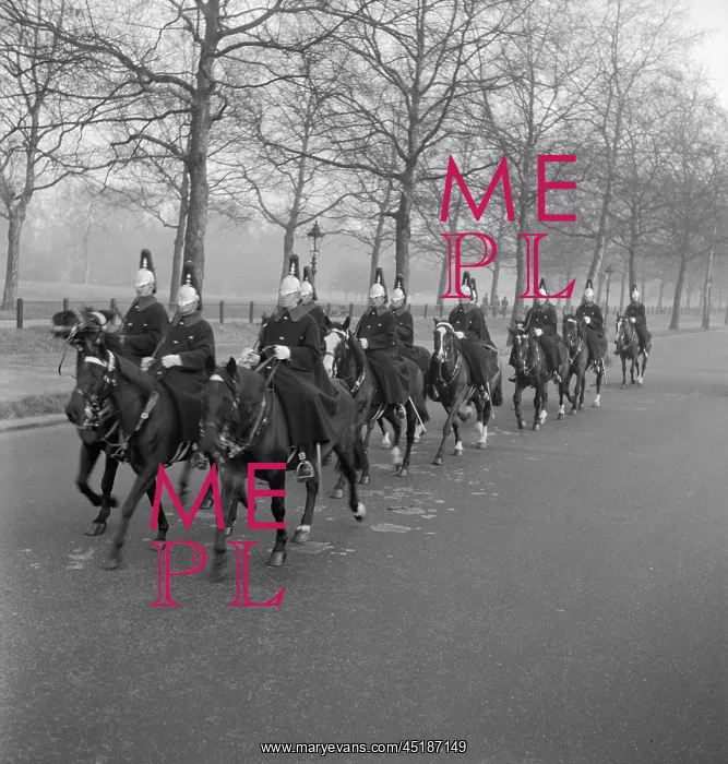 : Household Cavalry : Household Cavalry