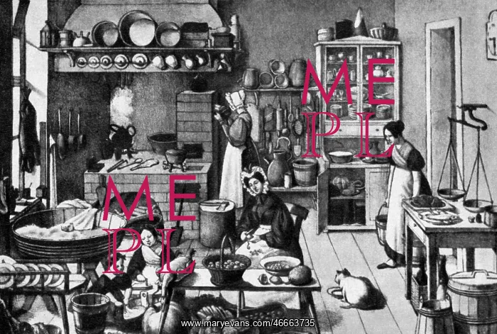 : household, kitchen and kitchenware, kitchen in : household, kitchen and kitchenware, kitchen in