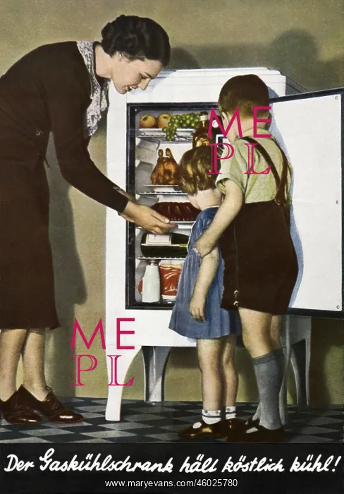 : household, kitchen / kitchenware, refrigerator : household, kitchen / kitchenware, refrigerator
