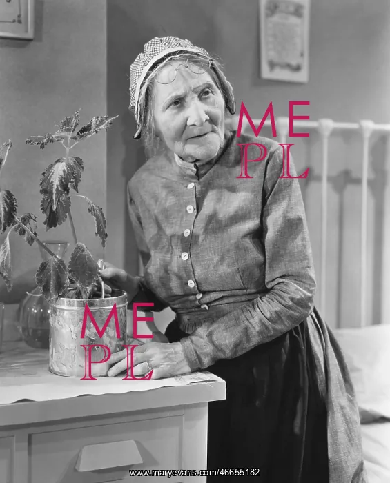 : Housekeeper tending to plant : Housekeeper tending to plant