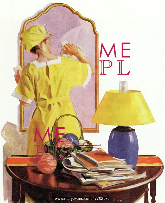  : Housemaid Cleans Mirror