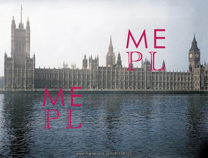 : HOUSES OF PARLIAMENT : HOUSES OF PARLIAMENT