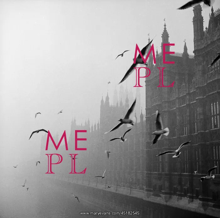 : Houses Of Parliament : Houses Of Parliament