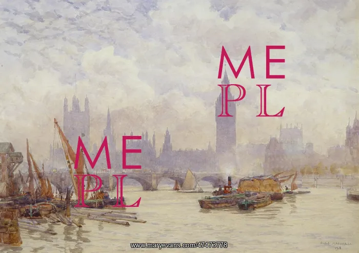 : The Houses of Parliament : The Houses of Parliament