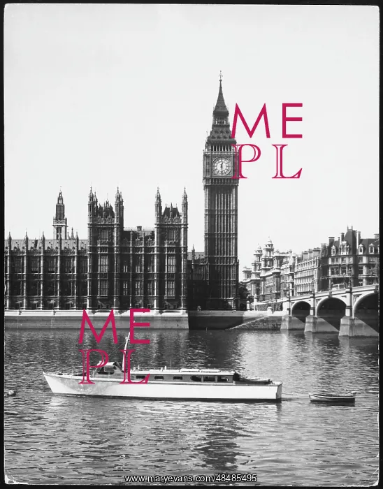 : HOUSES OF PARLIAMENT : HOUSES OF PARLIAMENT