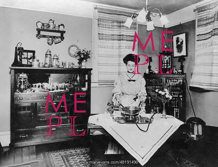 : Housewife, 1907 : Housewife, 1907