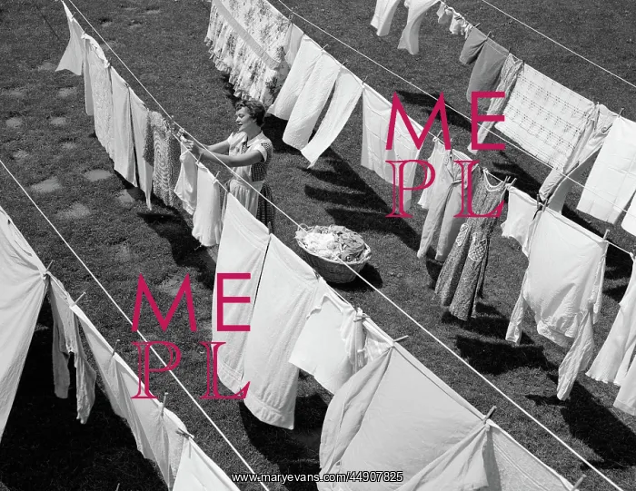 : Housewife hanging laundry in backyard : Housewife hanging laundry in backyard