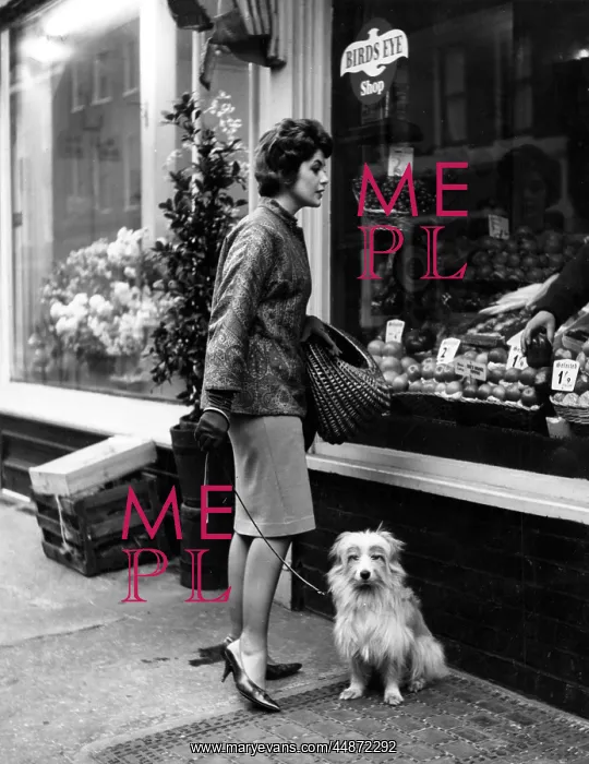 : HOUSEWIFE AND POOCH : HOUSEWIFE AND POOCH