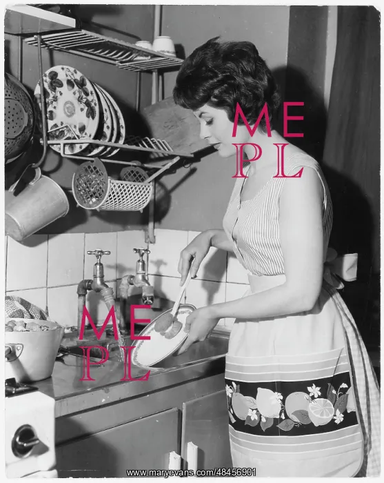 : HOUSEWIFE WASHING UP : HOUSEWIFE WASHING UP