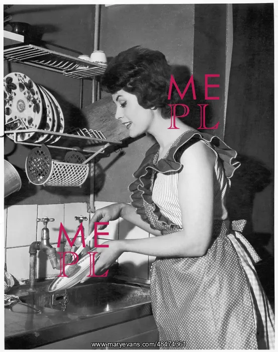 : HOUSEWIFE WASHING UP : HOUSEWIFE WASHING UP