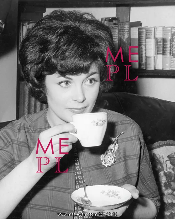 : HOUSEWIFE'S CUPPA : HOUSEWIFE'S CUPPA