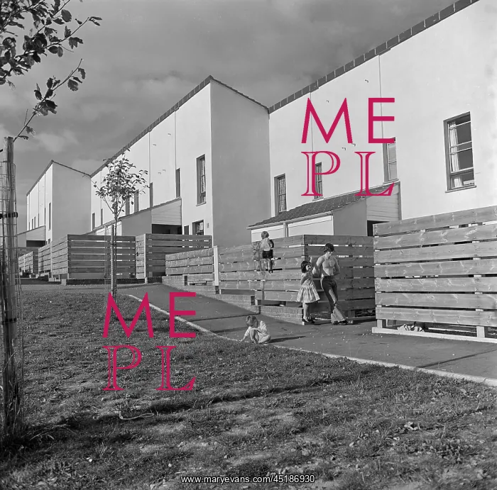 : Housing Estate, Devon : Housing Estate, Devon
