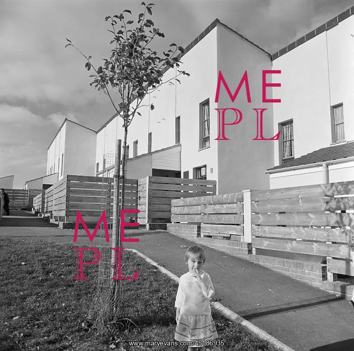 : Housing Estate, Devon : Housing Estate, Devon