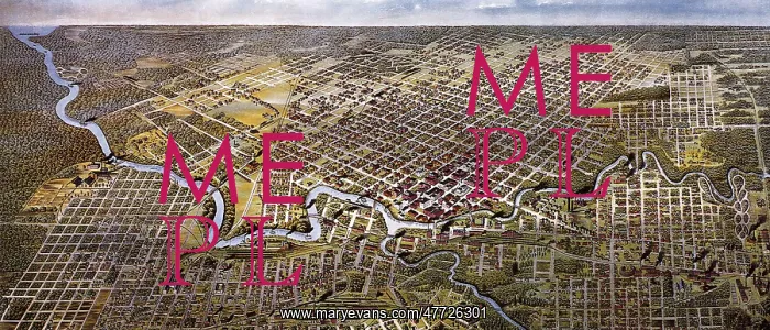 : Houston, Texas 1891 : Houston, Texas 1891
