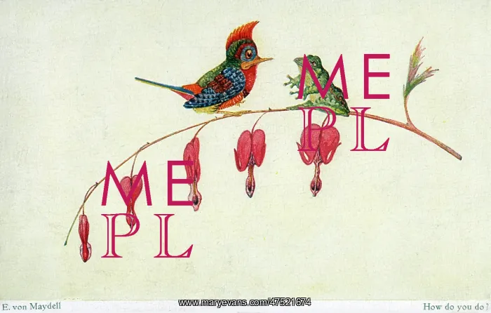 : 'How do yo do?' - a frog greets a rather startled bird : 'How do yo do?' - a frog greets a rather startled bird