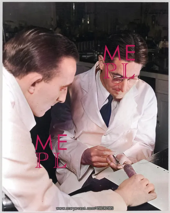 : Howard Florey in Lab : Howard Florey in Lab