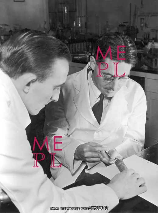 : HOWARD FLOREY WORKING : HOWARD FLOREY WORKING