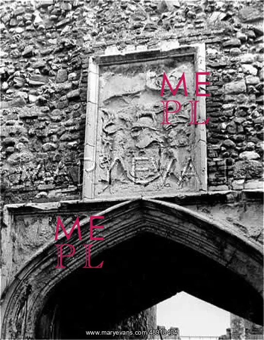 : HOWARD OF NORFOLK ARMS : HOWARD OF NORFOLK ARMS