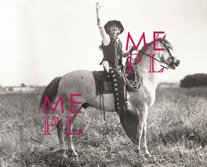 : Howdy partner : Howdy partner