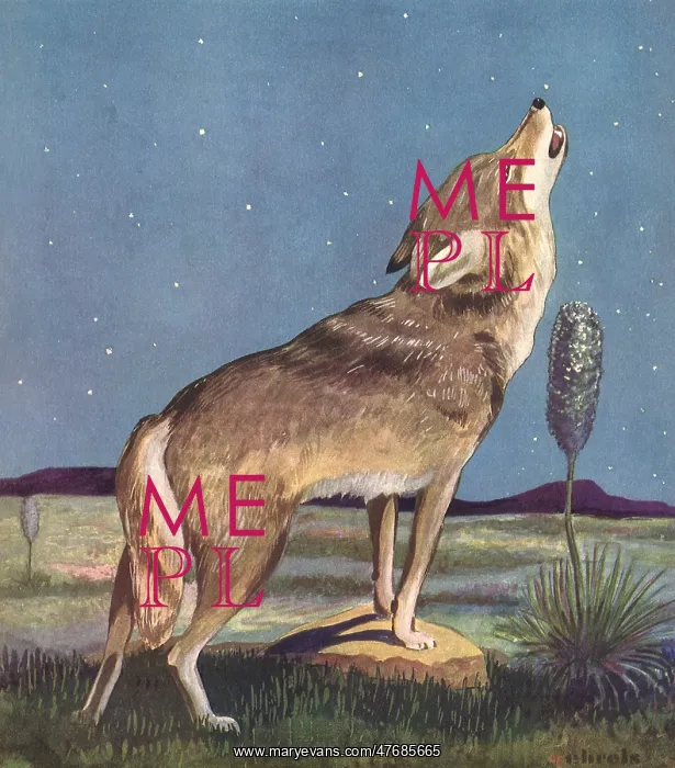  : Howling Wolf
