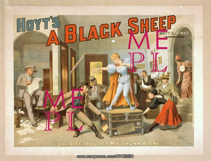  : Hoyt's A black sheep