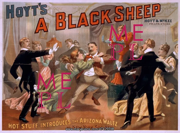  : Hoyt's A black sheep