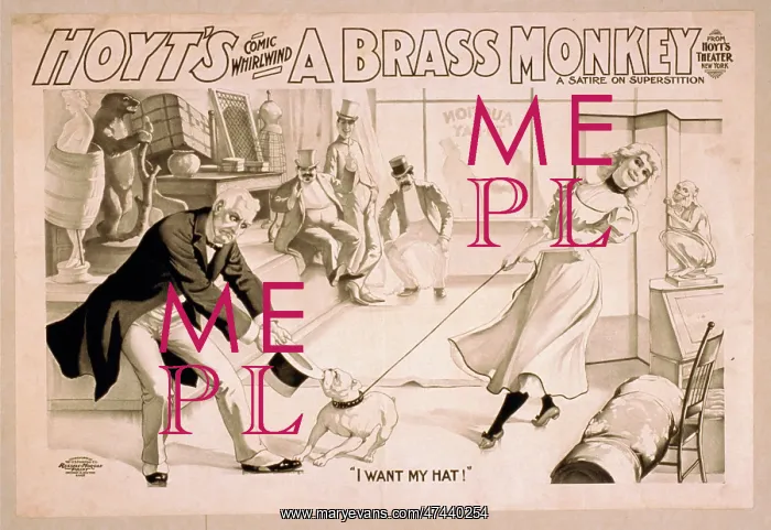 : Hoyt's comic whirlwind, A brass monkey a satire on superstit : Hoyt's comic whirlwind, A brass monkey a satire on superstit