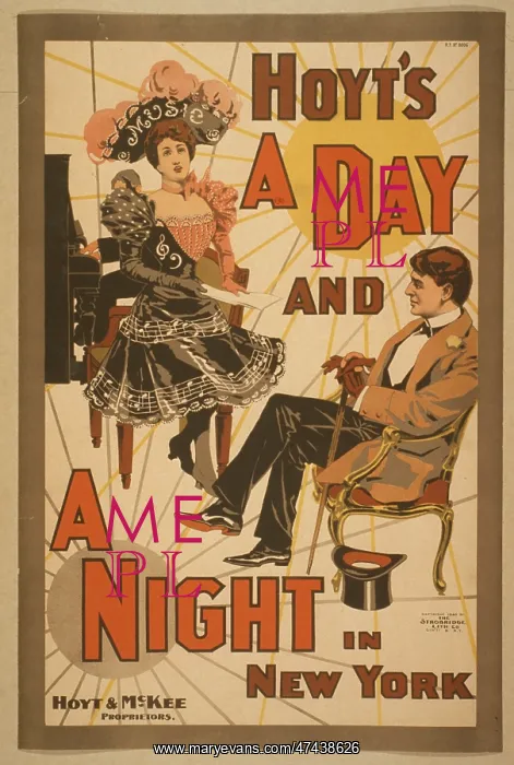 : Hoyt's A day and a night in New York : Hoyt's A day and a night in New York
