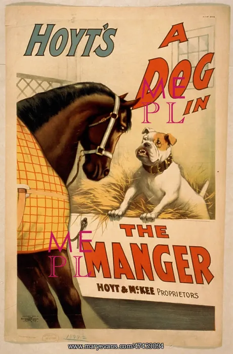  : Hoyt's A dog in the manger