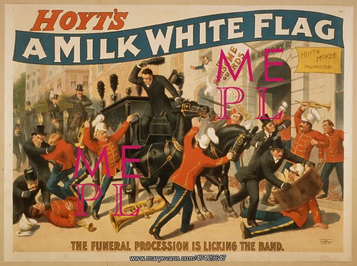  : Hoyt's A milk white flag