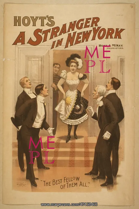  : Hoyt's A stranger in New York