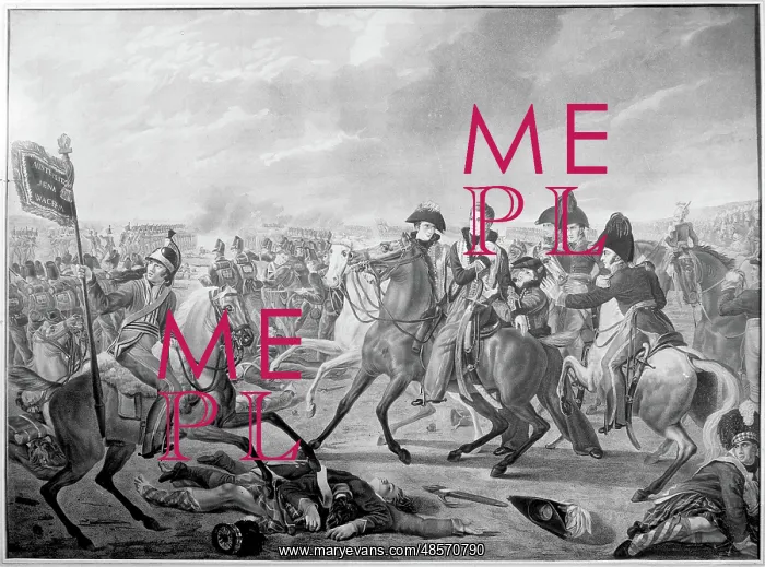 : HRH William Prince of Orange wounded : HRH William Prince of Orange wounded
