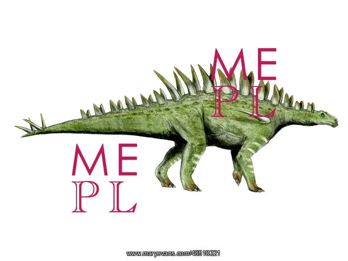 : Huayangosaurus dinosaur : Huayangosaurus dinosaur