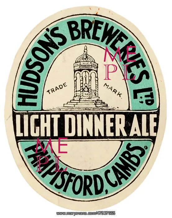: Hudson's Light Dinner Ale : Hudson's Light Dinner Ale