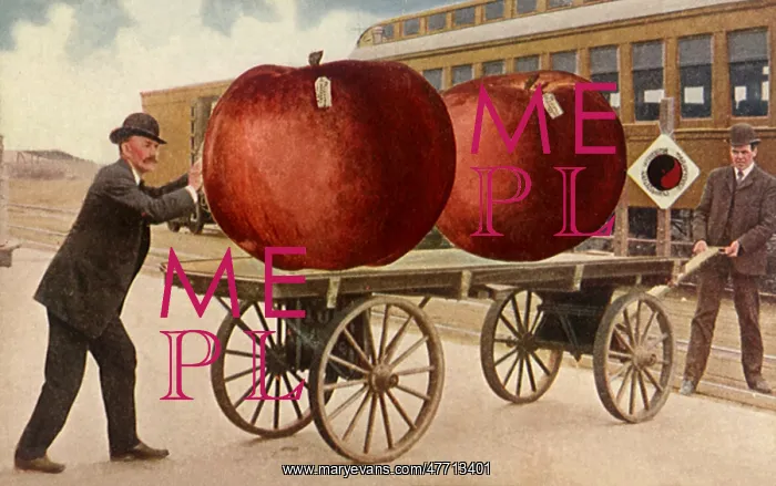 : Two Huge Apples : Two Huge Apples