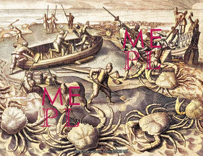 : HUGE CRABS : HUGE CRABS