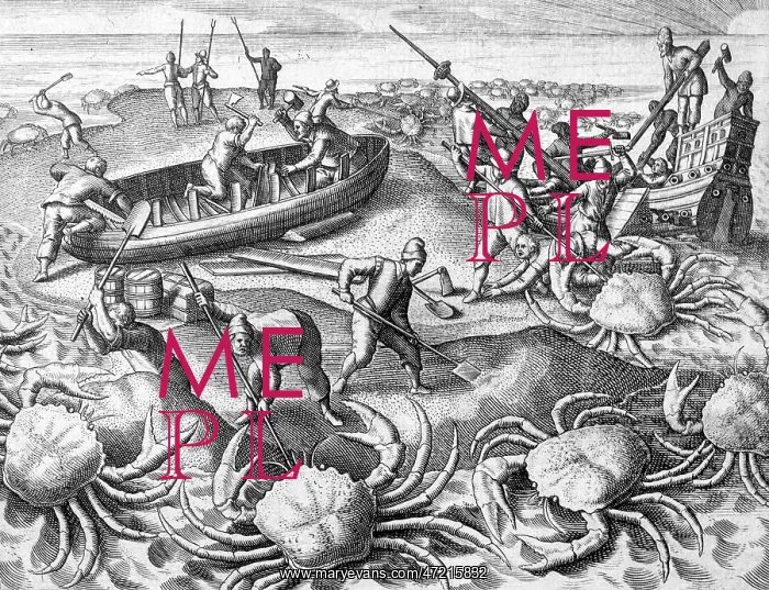 : HUGE CRABS : HUGE CRABS
