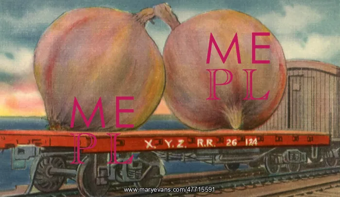 : Two Huge Onions : Two Huge Onions
