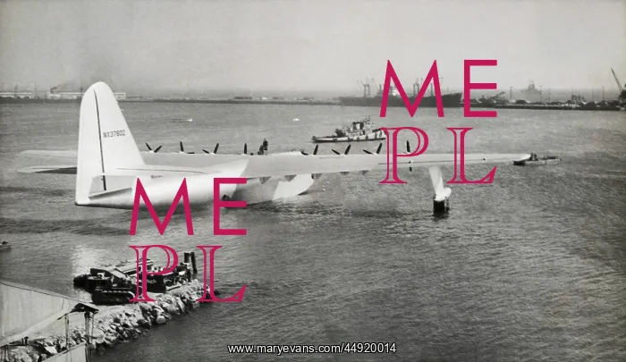 : Hughes H-4 Hercules / Spruce Goose : Hughes H-4 Hercules / Spruce Goose