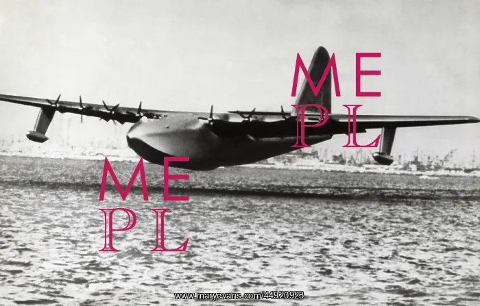 : Hughes H-4 Hercules / Spruce Goose : Hughes H-4 Hercules / Spruce Goose