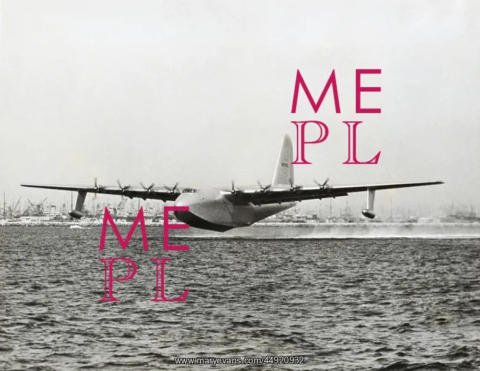 : Hughes H-4 Hercules / Spruce Goose : Hughes H-4 Hercules / Spruce Goose
