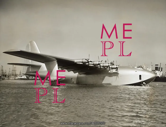 : Hughes H-4 Hercules / Spruce Goose : Hughes H-4 Hercules / Spruce Goose