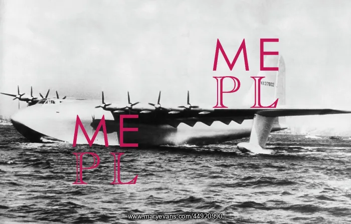  : Hughes H-4 Hercules  /  Spruce Goose